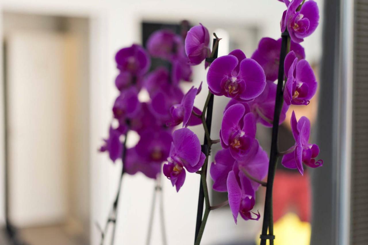 Апартаменты Studio Orchidea Хельсинки Экстерьер фото